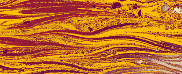 Биометрия усиливает безопасность мобильных банков и даёт лучший клиентский опыт